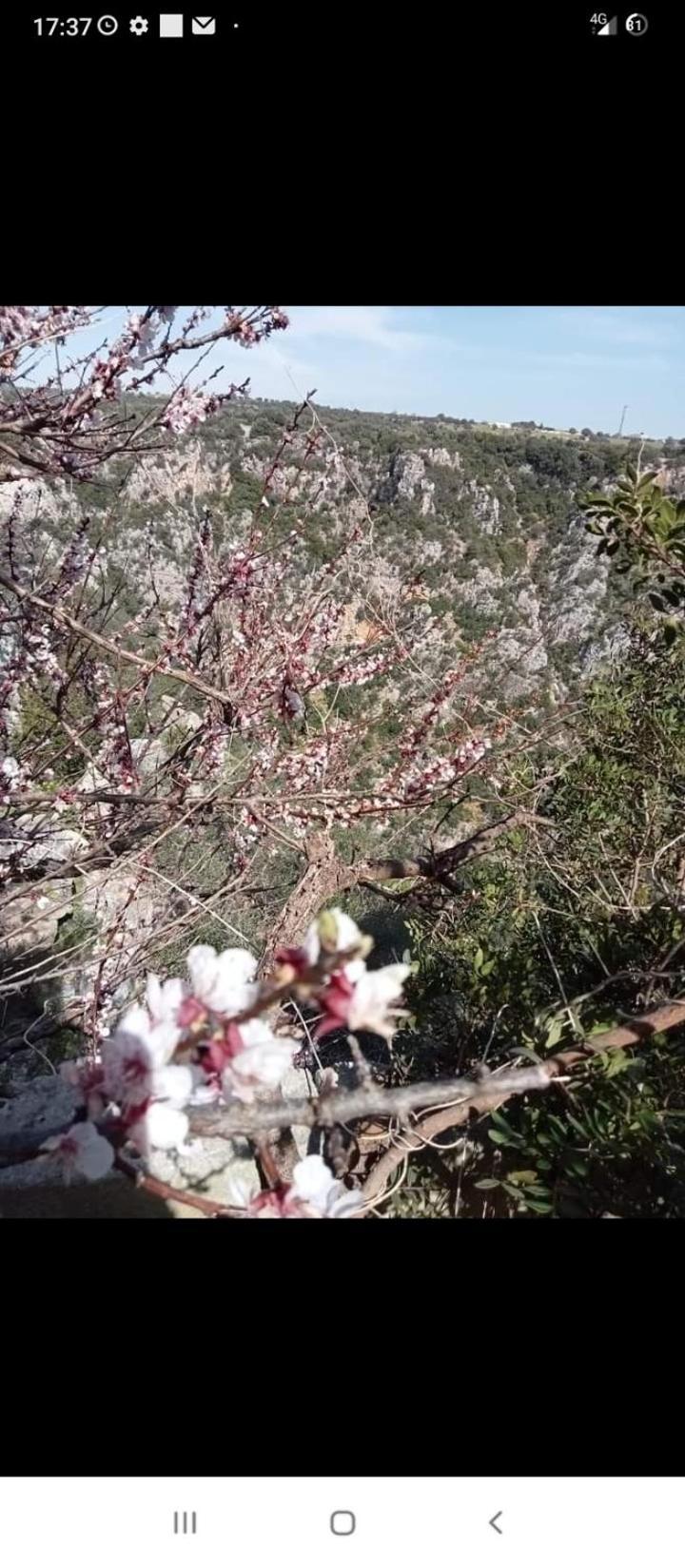 L' Arche Διαμέρισμα Καστελανέτα Εξωτερικό φωτογραφία